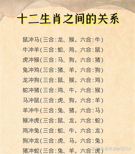 三六合|十二生肖里的三合、六合、六害、六冲分解